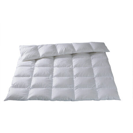Ganzjahres Kassettenduvet LUZERN / Daunen